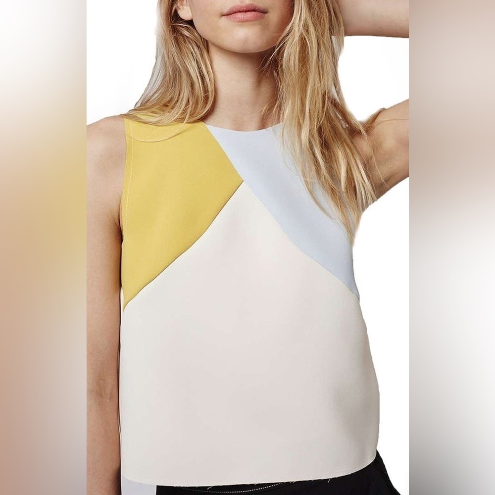 TopShop color block sleeveless top size 6